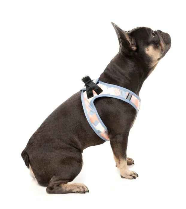 Yazd - Dog Step In Harness