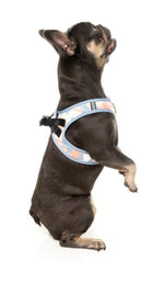 Yazd - Dog Step In Harness