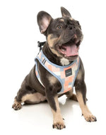 Yazd - Dog Step In Harness