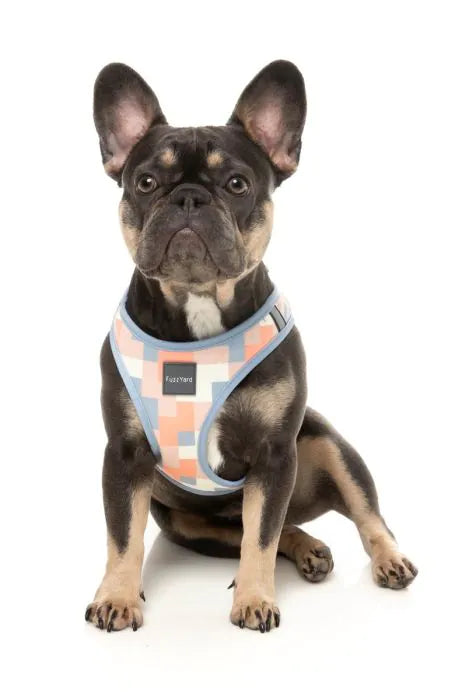 Yazd - Dog Step In Harness