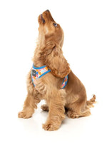 Fresh Zest - Dog Step In Harness