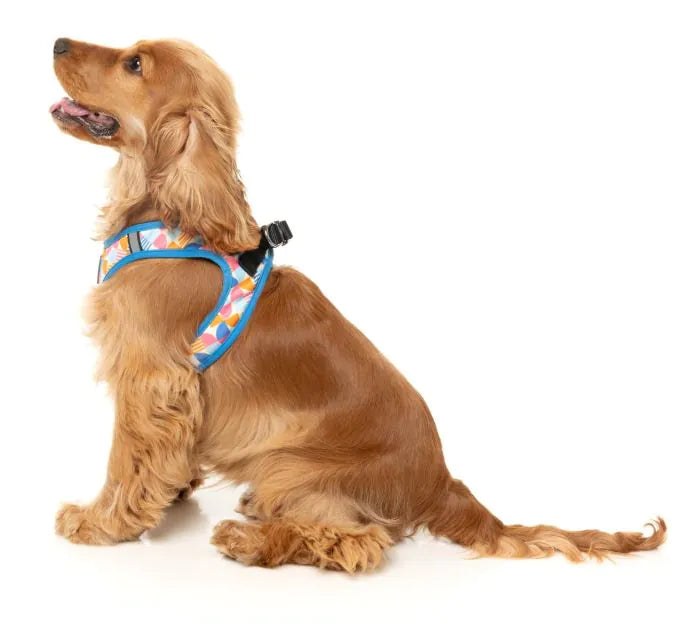 Fresh Zest - Dog Step In Harness