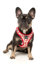 Meat Head - Dog Step In Harness