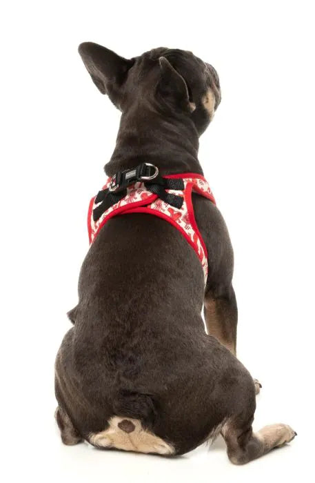 Meat Head - Dog Step In Harness