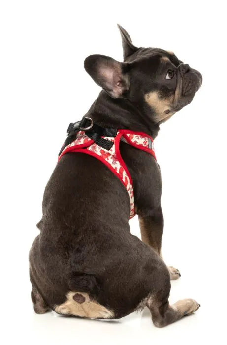 Meat Head - Dog Step In Harness