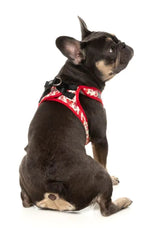 Meat Head - Dog Step In Harness