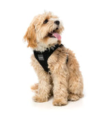 Swat - Dog Step In Harness