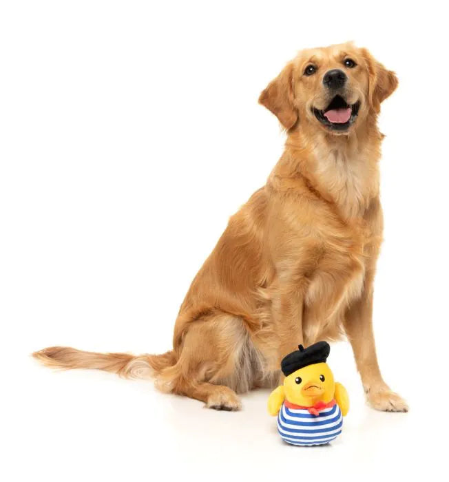 Timotheé Chalaquack - Dog Toy