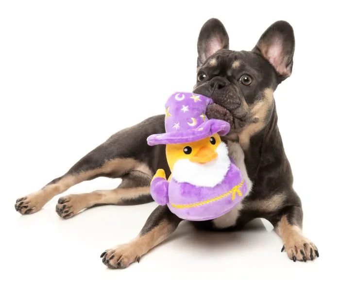 Sirius Quack - Dog Toy