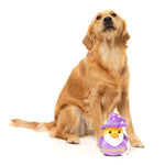 Sirius Quack - Dog Toy