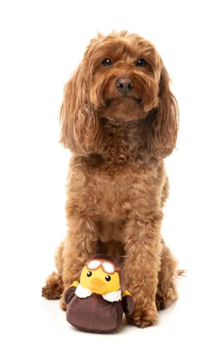 Amelia Quackhart - Dog Toy