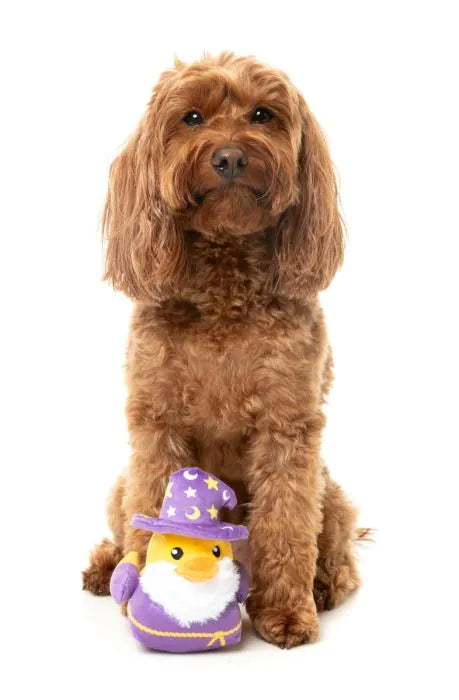 Sirius Quack - Dog Toy