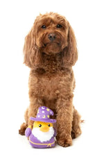 Sirius Quack - Dog Toy