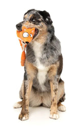 Farewell Fox - The Yeetz - Dog Toy