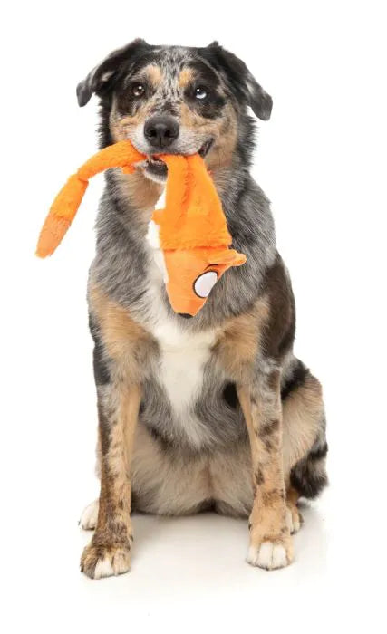 Farewell Fox - The Yeetz - Dog Toy