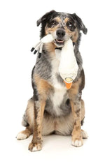 See-ya Seagull - The Yeetz - Dog Toy