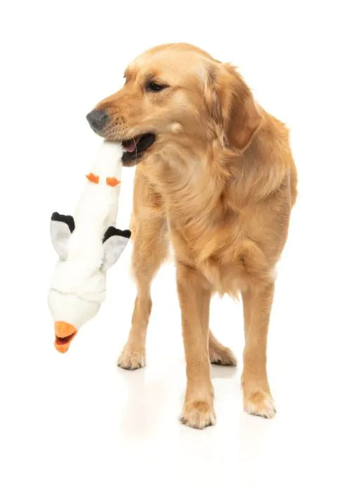 See-ya Seagull - The Yeetz - Dog Toy