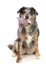 Peace Out Pigeon - The Yeetz - Dog Toy