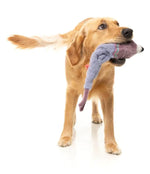 Peace Out Pigeon - The Yeetz - Dog Toy
