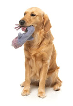 Peace Out Pigeon - The Yeetz - Dog Toy