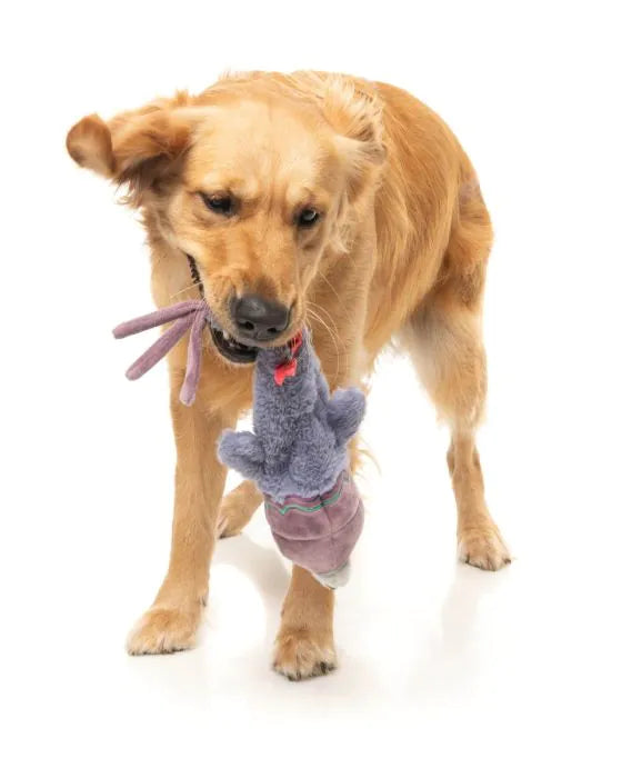 Peace Out Pigeon - The Yeetz - Dog Toy