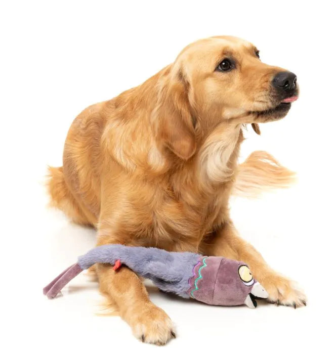 Peace Out Pigeon - The Yeetz - Dog Toy