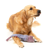 Peace Out Pigeon - The Yeetz - Dog Toy