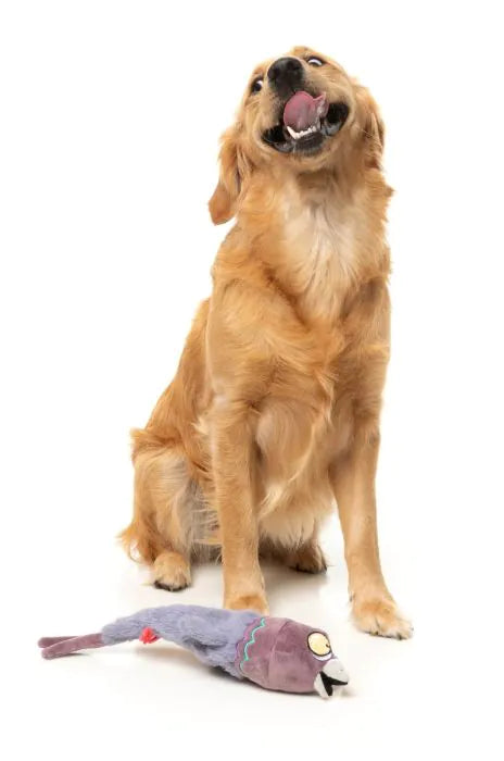 Peace Out Pigeon - The Yeetz - Dog Toy