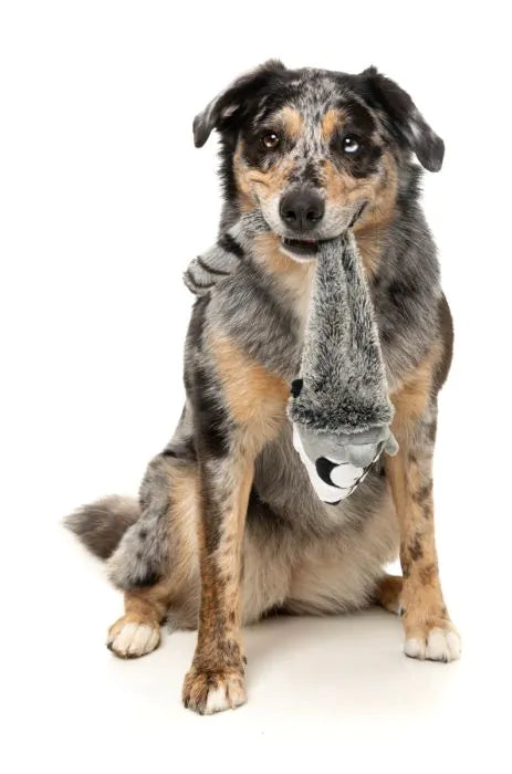 Run Along Raccoon - The Yeetz - Dog Toy