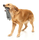Run Along Raccoon - The Yeetz - Dog Toy