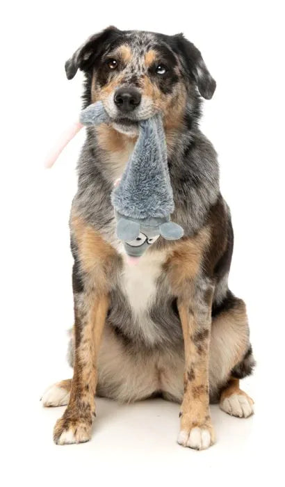 Rack Off Rat - The Yeetz - Dog Toy