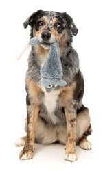 Rack Off Rat - The Yeetz - Dog Toy