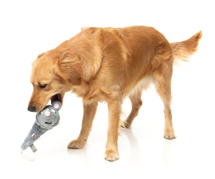 Rack Off Rat - The Yeetz - Dog Toy