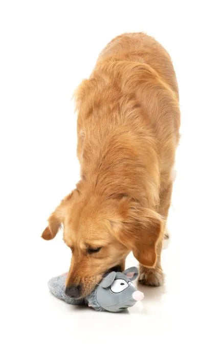 Rack Off Rat - The Yeetz - Dog Toy