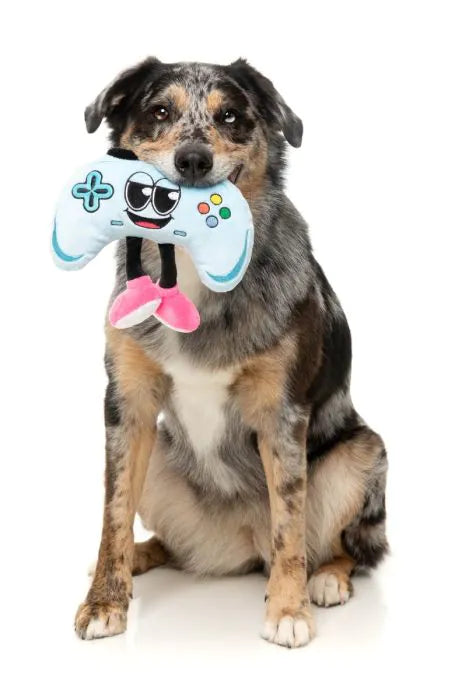 Gamezy - The Homies - Dog Toy