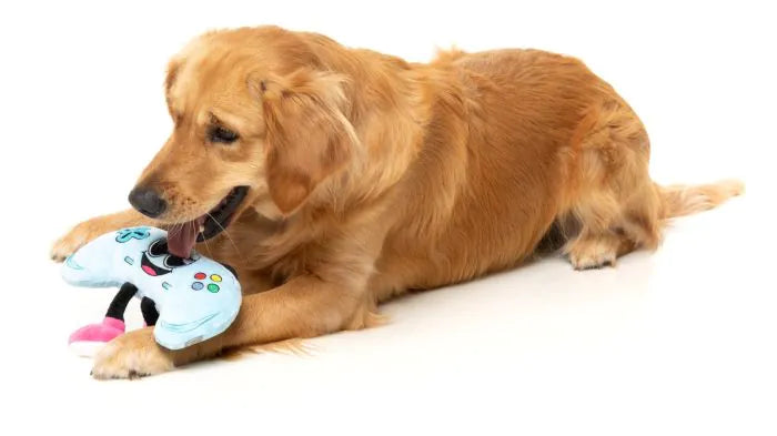 Gamezy - The Homies - Dog Toy