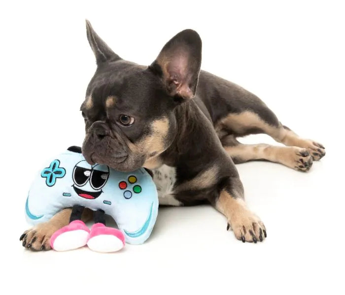 Gamezy - The Homies - Dog Toy