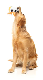 Steinzy - The Homies - Dog Toy