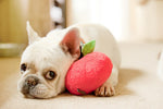 Garden Fresh (Mini) Apple XS