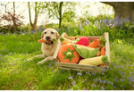 Garden Fresh (Mini) Carrot XS