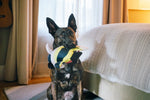 Ocean Buddies - Coral Fish - Moorish Idol  - Dog Toys