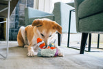Ocean Buddies - Coral Burrow Toys S