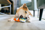 Ocean Buddies - Coral Burrow Toys S