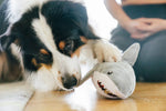 Ocean Buddies - Great White Shark - Large