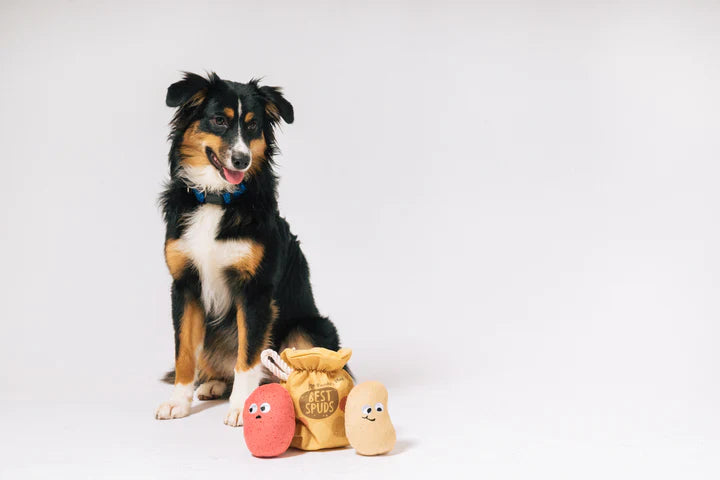 Picked Fresh Potato Pals