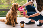Pup Cup Cafe (Mini) Donut XS