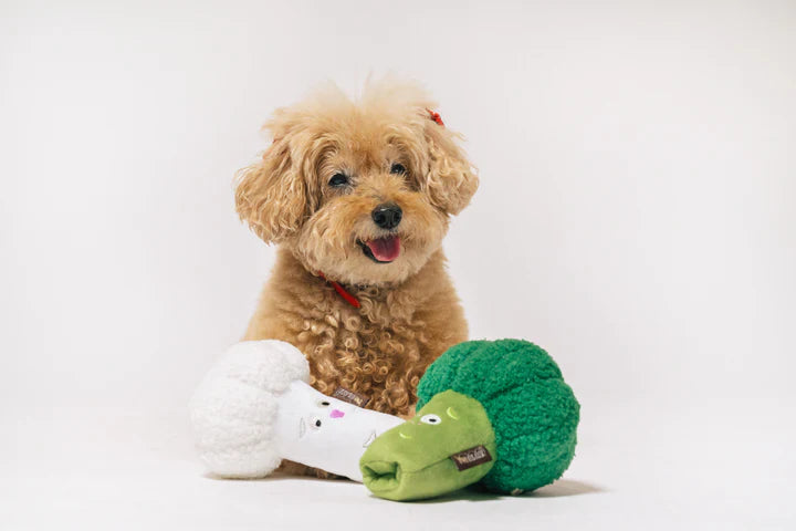 Picked Fresh Veggie Munch Duo