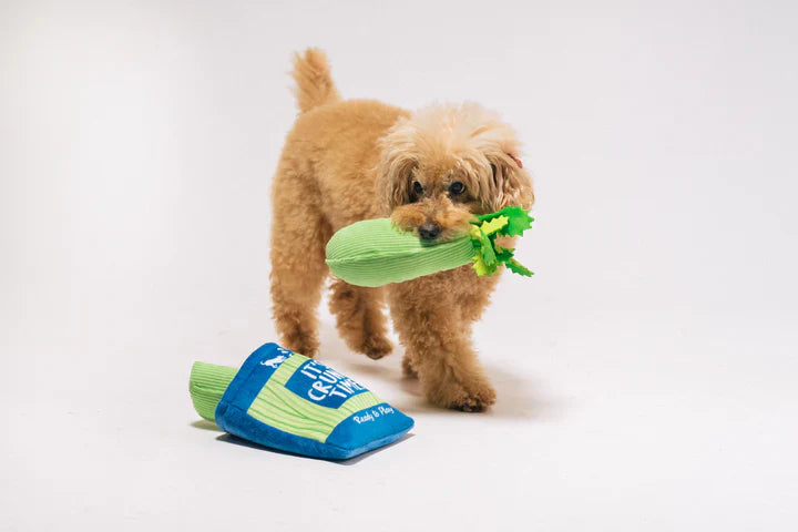 Picked Fresh Crunch Bunch