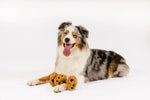 Pup Cup Cafe (Mini) Cookies XS
