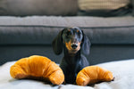 Barking Brunch (Mini Croissant XS